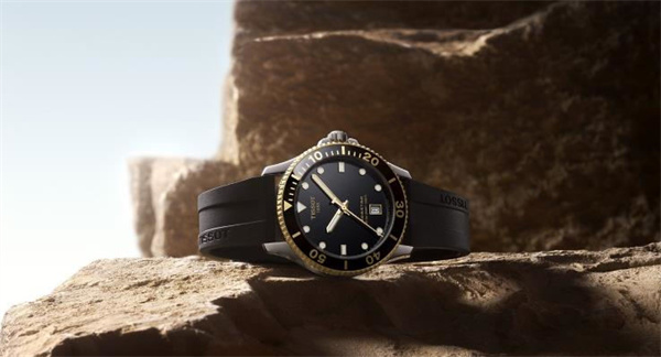 天梭手表機芯生銹了處理技巧推薦（圖）